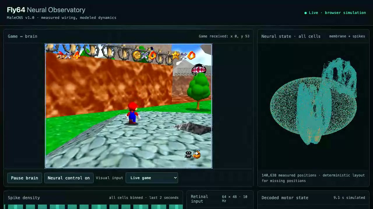 Fly64 Neural Observatory