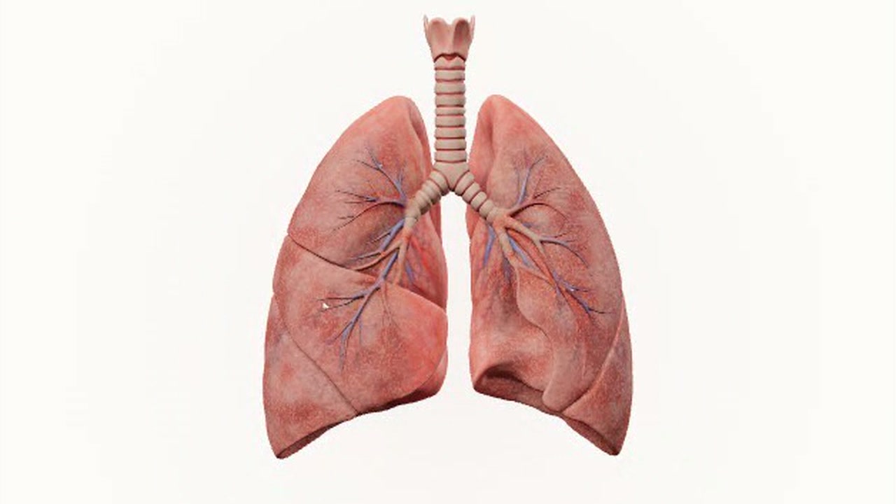 Breath Atlas