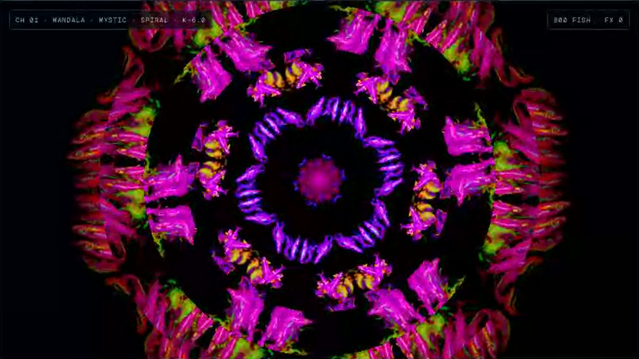 FishVJ