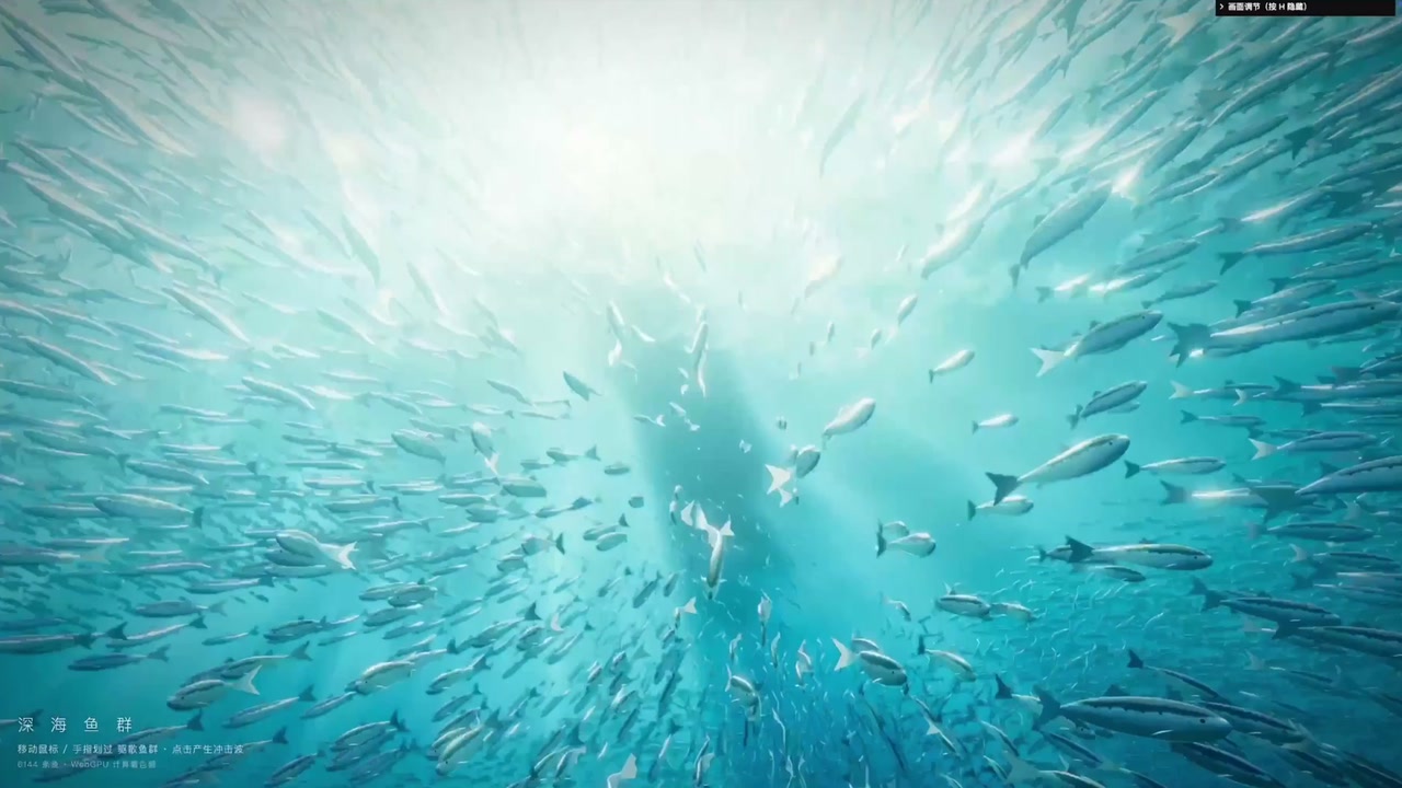 Deep Sea Fish School