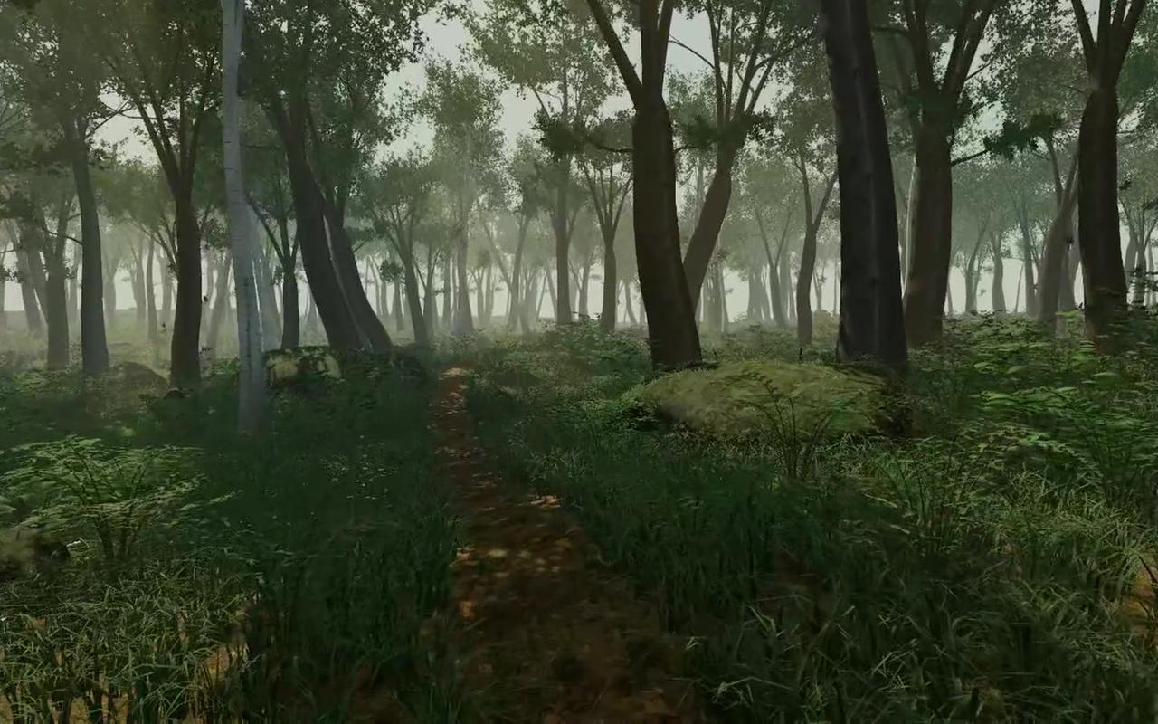 Verdant Forest