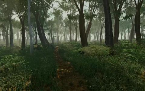 Verdant Forest