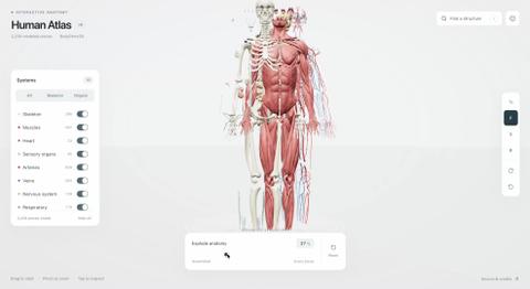 Human Atlas