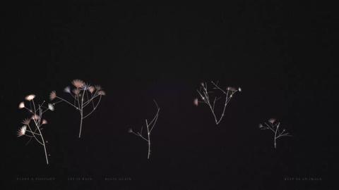 A Garden That Remembers