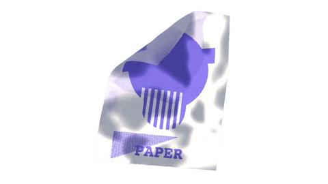 Riso Paper Fold