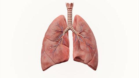 Breath Atlas