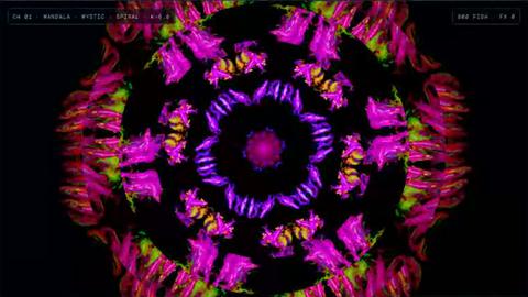 FishVJ